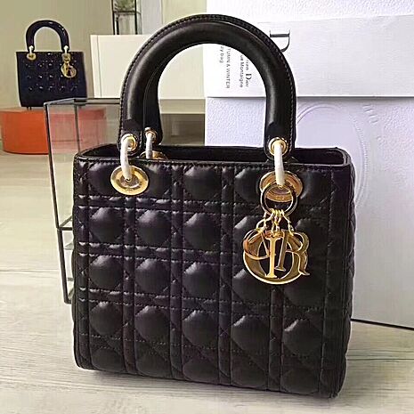Dior AAA+ Handbags #365614