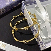 US$16.00 Dior Earring #420234