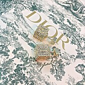 US$17.00 Dior Earring #451590