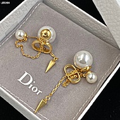 US$20.00 Dior Earring #485843