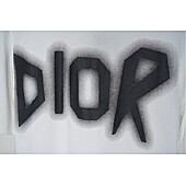 US$20.00 Dior T-shirts for men #560445