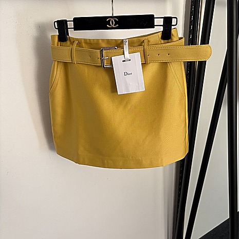 Dior skirts for Women #773511 replica