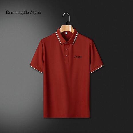 ZEGNA T-Shirts for Men #773986