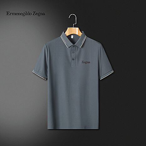 ZEGNA T-Shirts for Men #773987