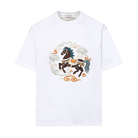 Dior T-shirts for men #780249 replica