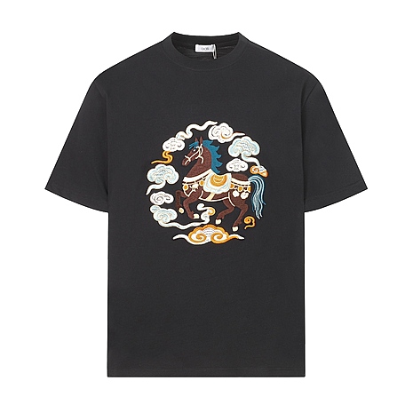 Dior T-shirts for men #780250 replica