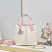 US$84.00 Dior AAA+ Handbags #784903