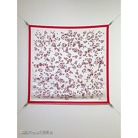 Dior AAA+ Scarf #795676 replica