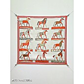 US$65.00 HERMES AAA+ Scarf #796584