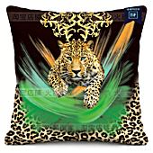 US$46.00 Versace Pillow #798309