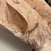 US$99.00 ZIMMERMANN Skirts for Women #801813